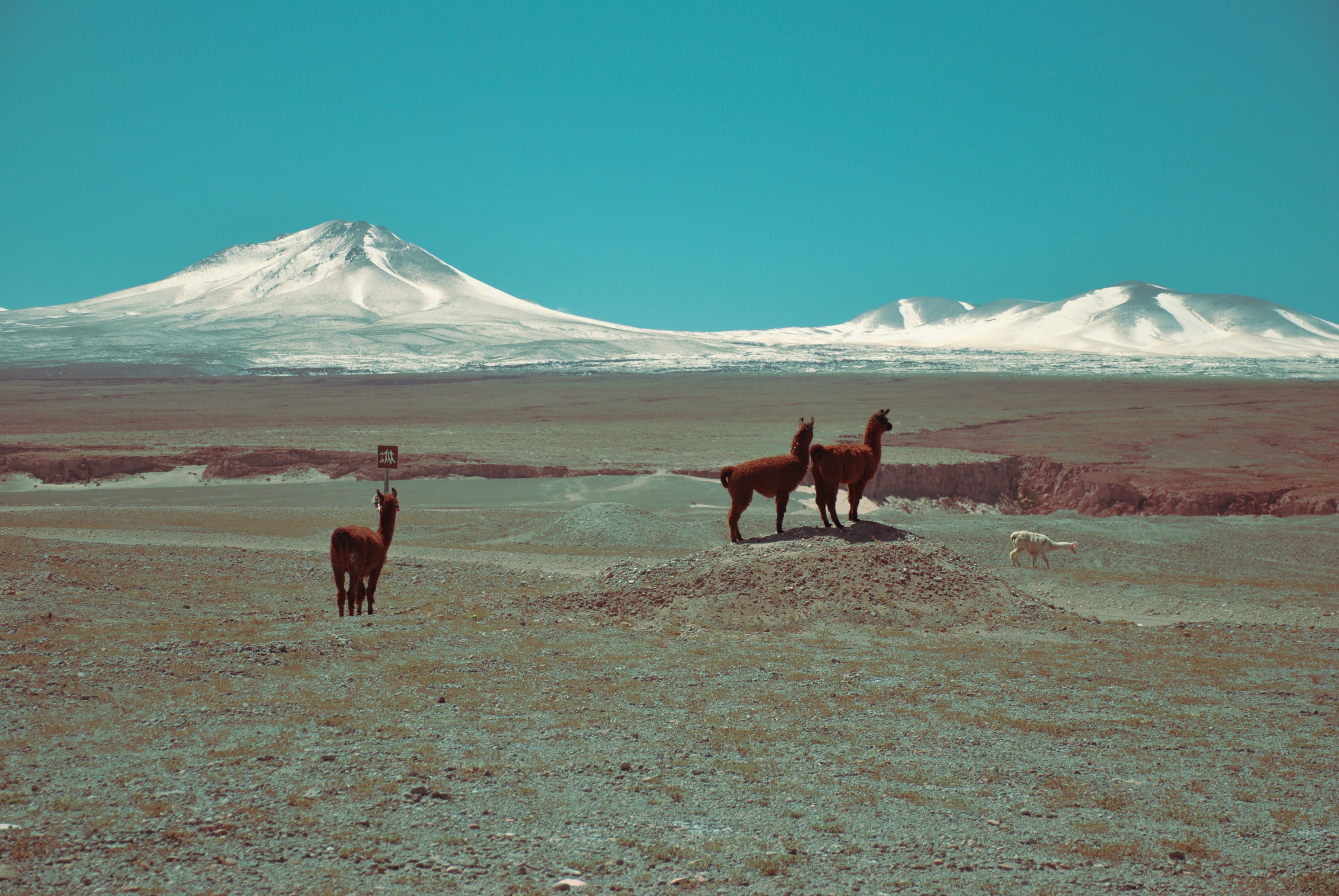 desierto chile con cordillera de fondo